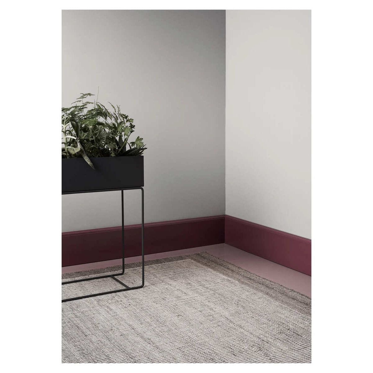 Linie Design - BURANO Teppich
