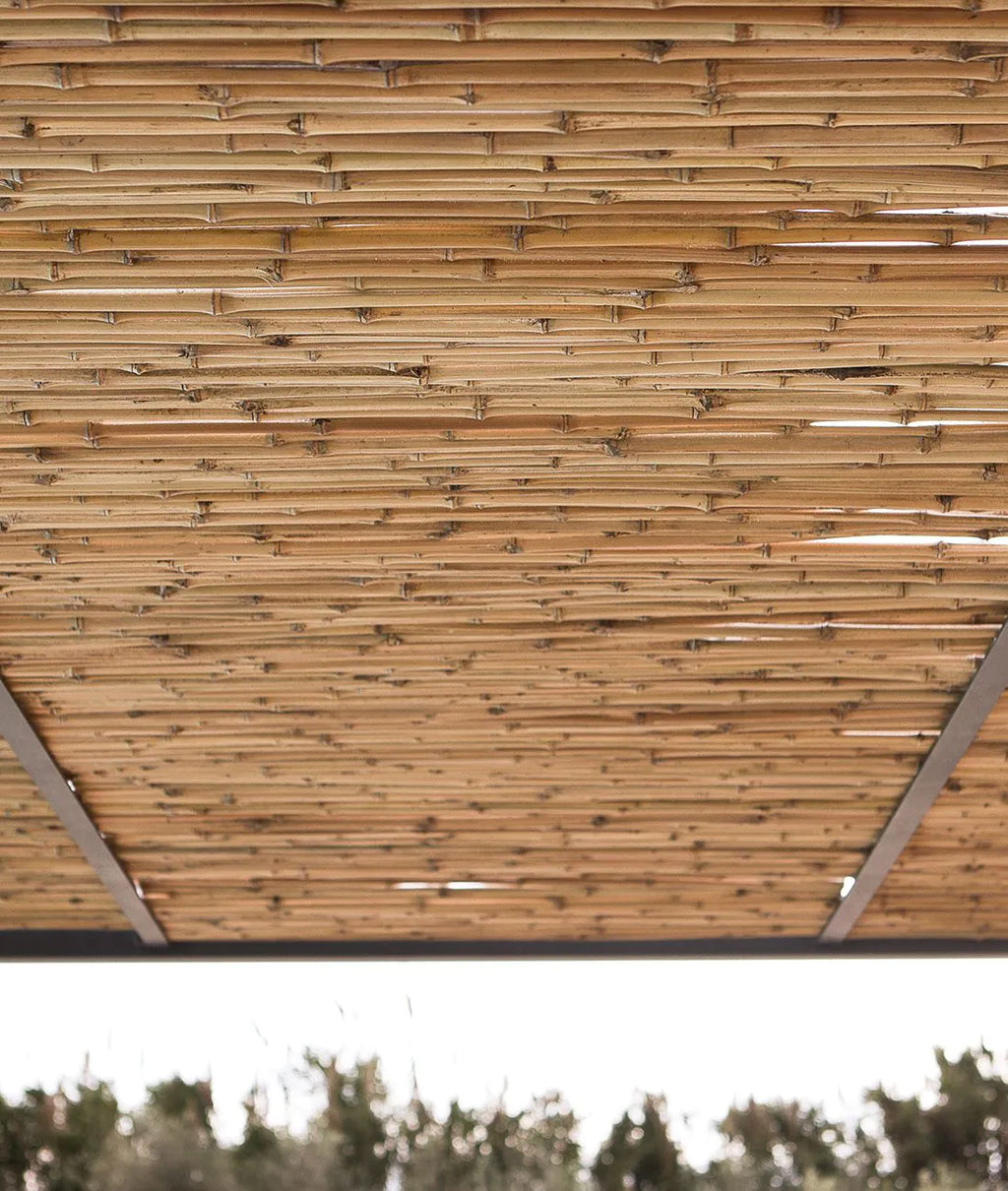Unopiu - Shibuya Anbaupergola